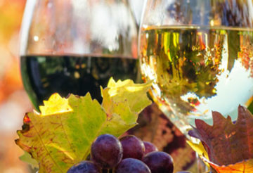 Investir dans la vigne